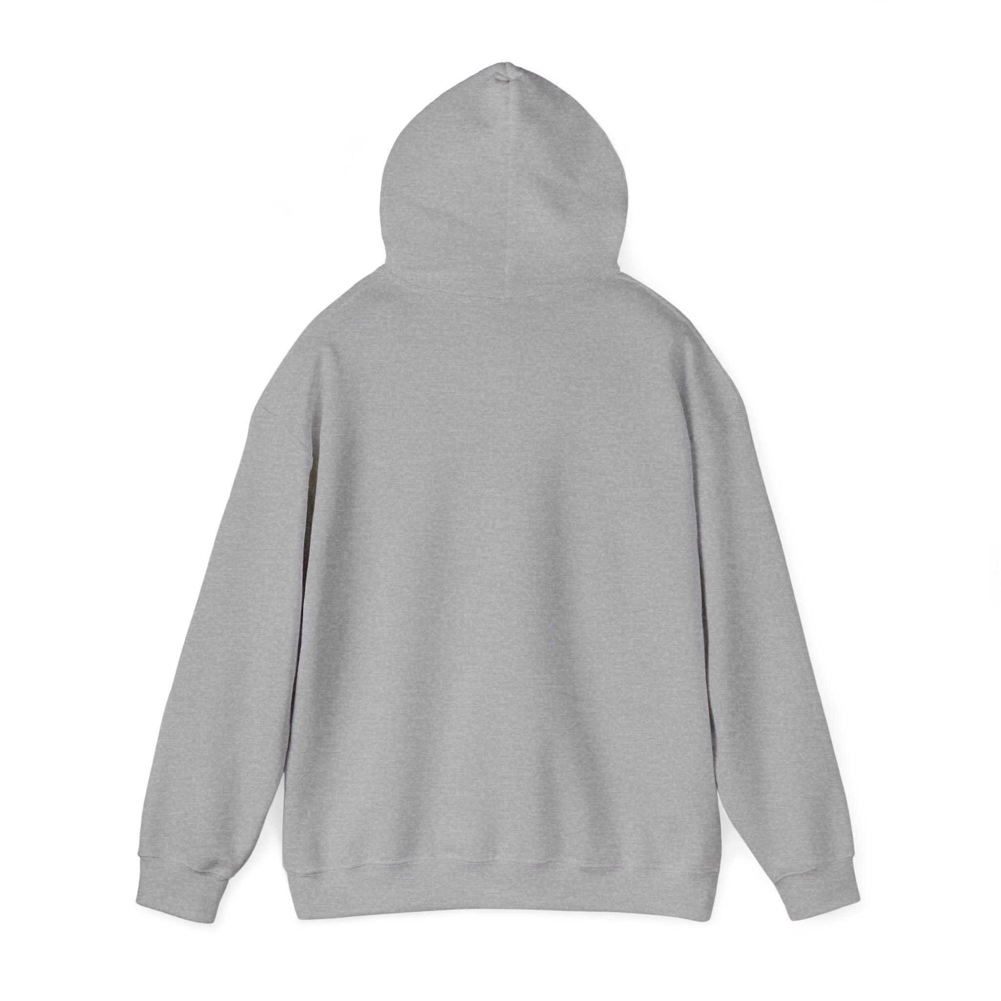 OFFLINE SOCIETY Hoodie