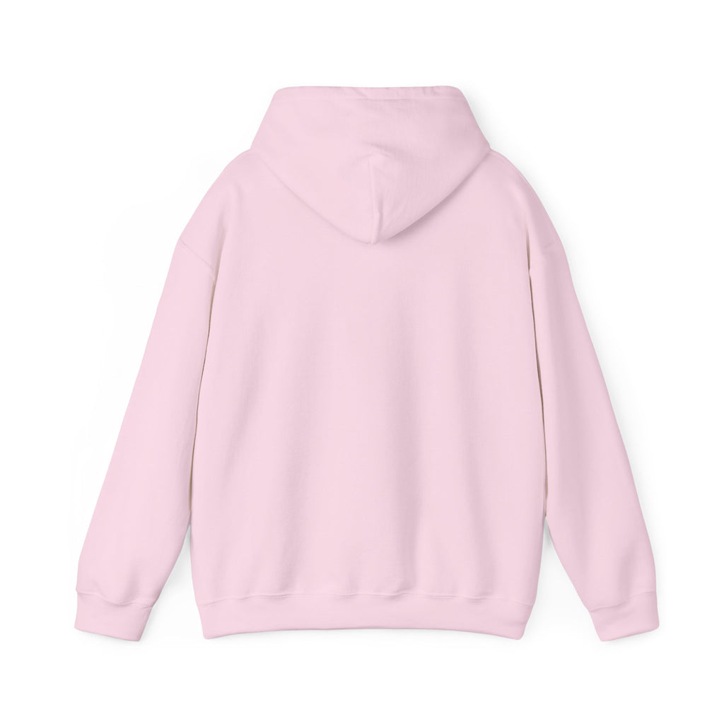 DISCONNECT Hoodie