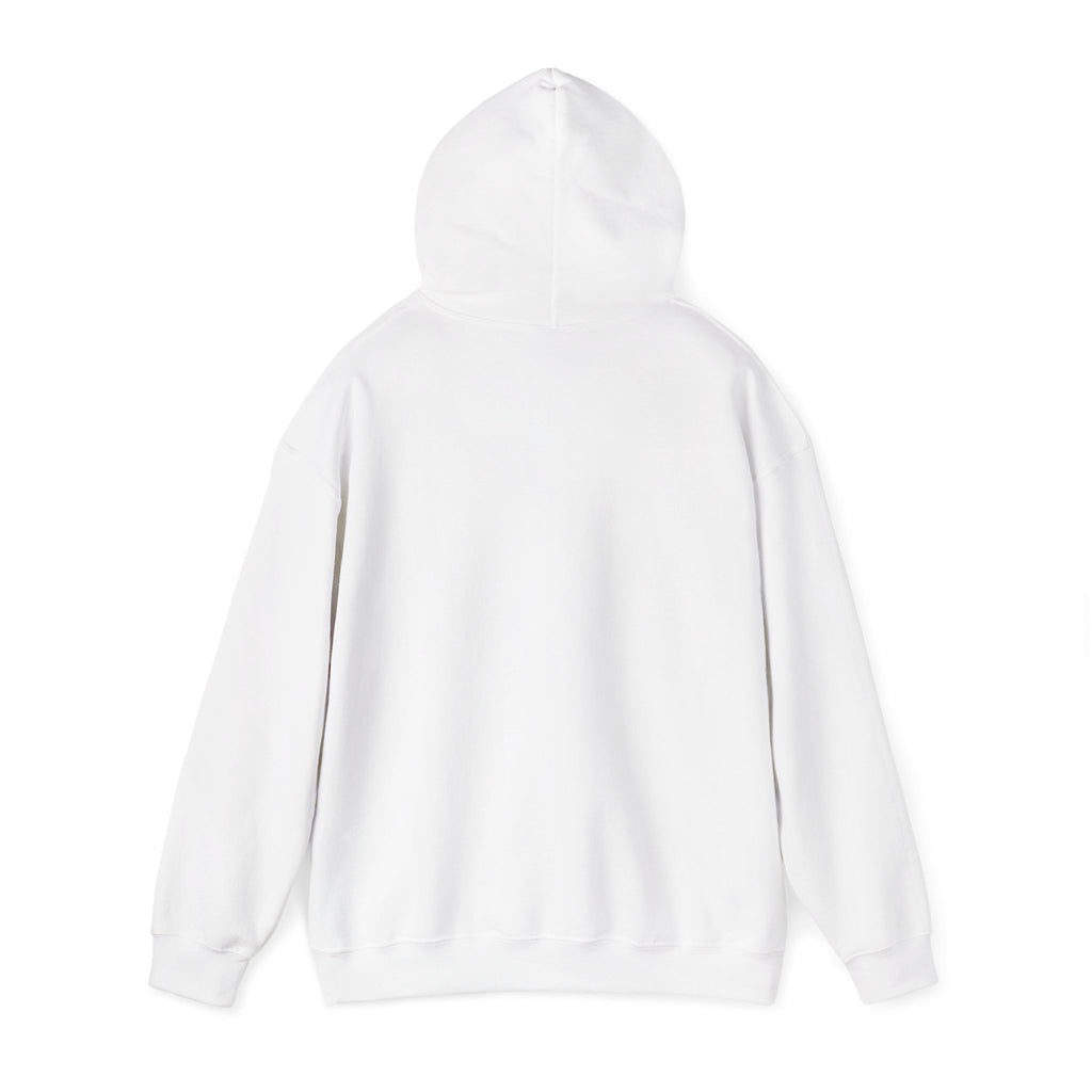 DISCONNECT Hoodie