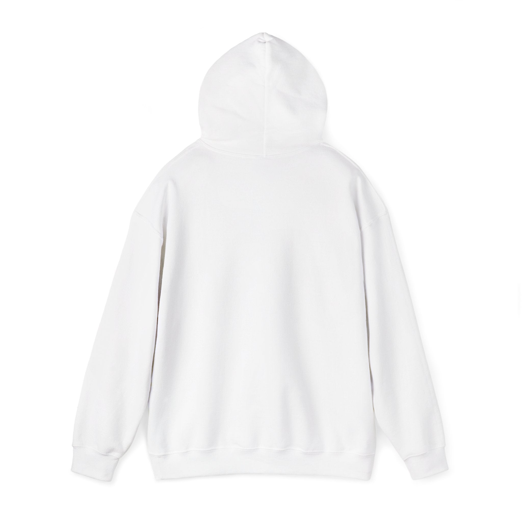 DISCONNECT Hoodie