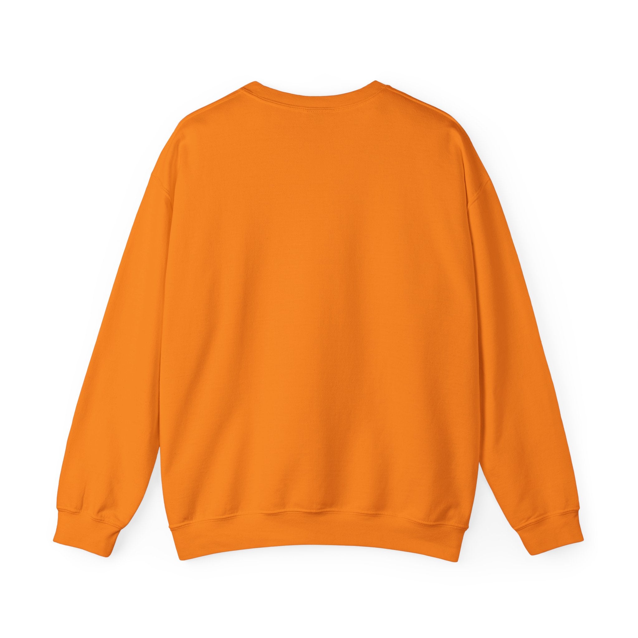 Offline Society No Signal Sweatshirt