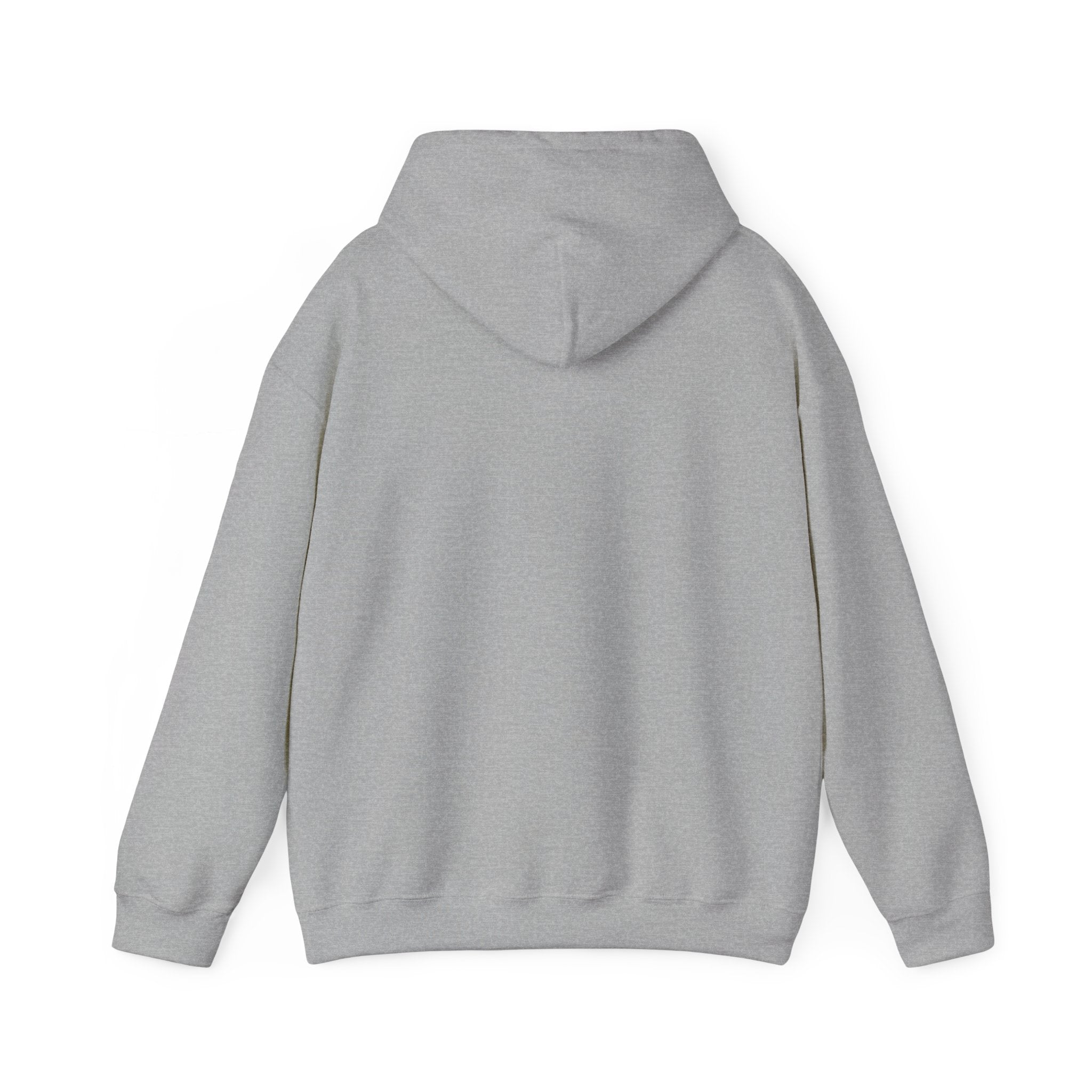 DISCONNECT Hoodie